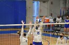 Volleyball vs RWU  Wheaton Women’s Volleyball vs Roger Williams University. : Volleyball, VB